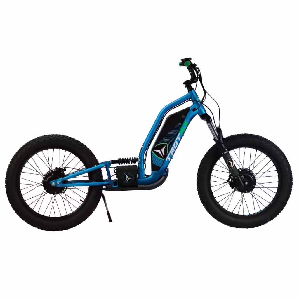 TROTRX E-SCOOT FS 24_ (BATTERIE INTEGREE 25Ah_2 ROUES MOTRICES_750W)