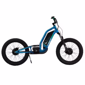 TROTRX E-SCOOT FS 24" 2x500W