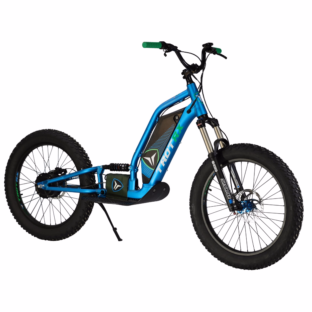 TROTRX E-SCOOT FS 24_ (BATERIA INTEGRADA 25Ah_MONO MOTOR_750W)