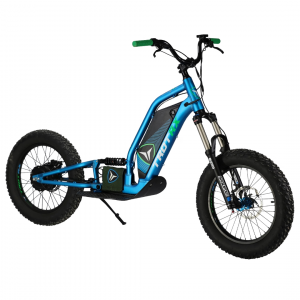 TROTRX E-SCOOT FS 20" 1x750W